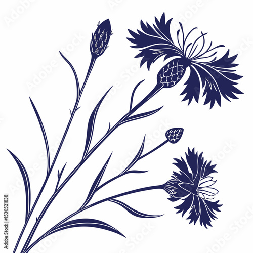 vector set of cornflowers