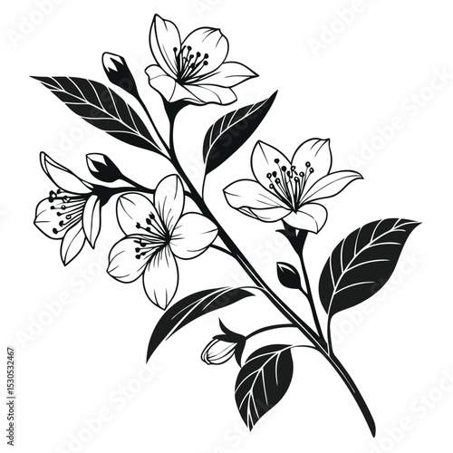 A monochrome branch presents open blossoms and buds alongside pointed foliage in elegant simplicity