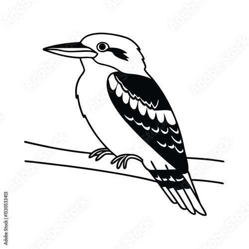 A monochrome kookaburra sits calmly on a branch showcasing its patterned feathers nicely