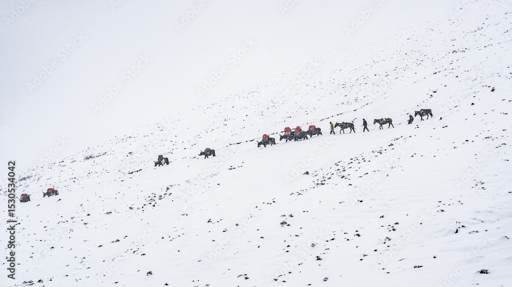 Beautiful Outdoor Valley Snow Scenery Beautiful Outdoor Valley Snow Scenery