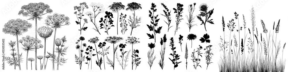 Modern illustration featuring plants, bare wild weeds, and a big set of silhouettes Modern illustration featuring plants, bare wild weeds, and a big set of silhouettes