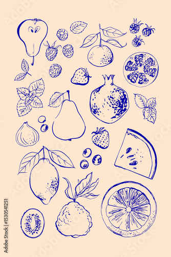 Hand drawn line illustration food vector. Fruits and berries. Farm food. Healthy eating	