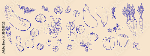 Hand drawn line food illustration vector. Vegetables and herbs, spices. Farm food. Healthy eating