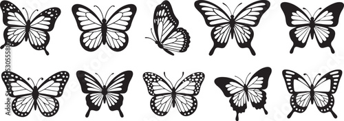 Set of butterfly black silhouette set collection vector illustration