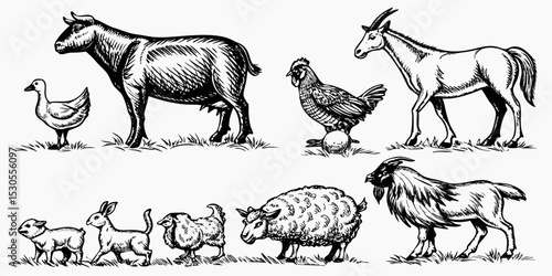 Monochrome Illustration of Farm Animals and Wildlife in a Field Drawn with Ink for a Vintage Look and Feel