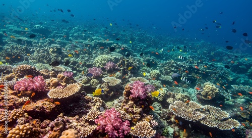 Wallpaper Mural Vibrant Coral Reef Ecosystem Underwater Wonders Torontodigital.ca