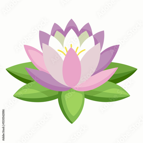 Elegant water lily illustration with a clean white background showcasing vibrant colors and delicate floral details in a vector format