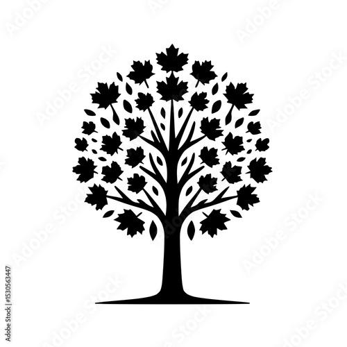 A perfectly symmetrical silhouette of a rounded deciduous tree, with a compact and well-defined canopy composed of uniform leaves.