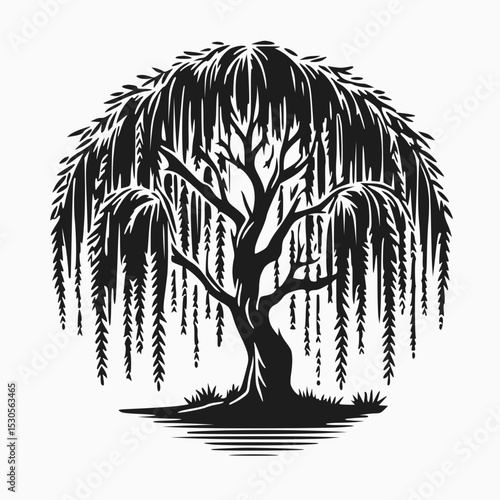 A graceful silhouette of a weeping willow tree, with its iconic long, drooping branches touching the ground, suggesting a serene landscape.