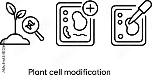Plant cell modification symbols: analysis, editing, transformation