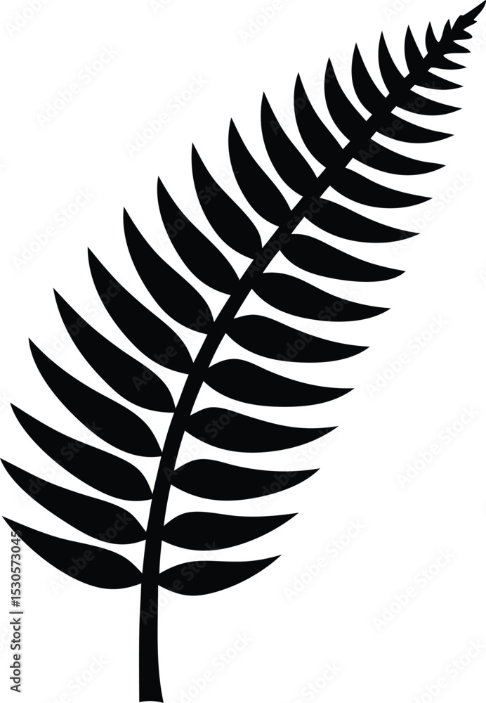 silver fern koru minimalist black and white vector silver fern koru minimalist black and white vector