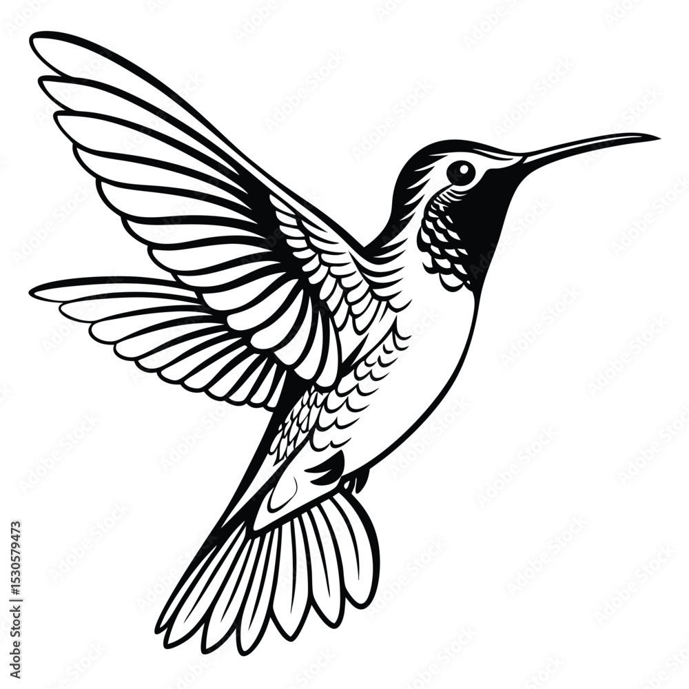 Obraz premium Detailed black and white hummingbird with patterned wings showcases delicate design
