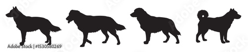 Dog breeds silhouettes 