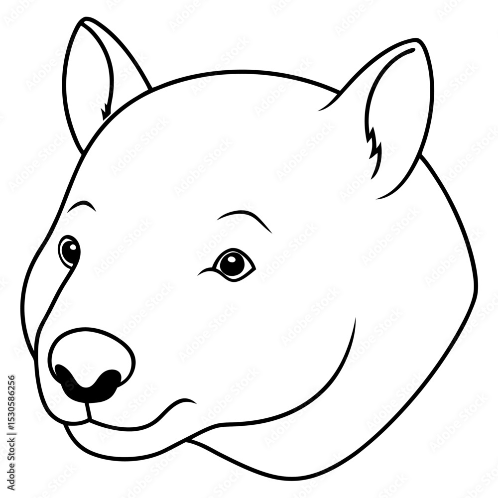 Wombat Head Line Art Illustration on White Background for Banner or Advertisement Design with Simple Black and White Drawing Wombat Head Line Art Illustration on White Background for Banner or Advertisement Design with Simple Black and White Drawing