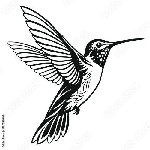 illustration shows a hummingbird with detailed wings and body markings in black