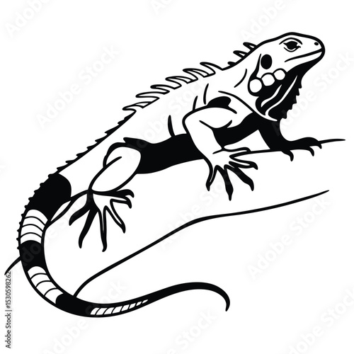 Monochrome iguana rests calmly on a branch, its detailed scales visible in stark contrast