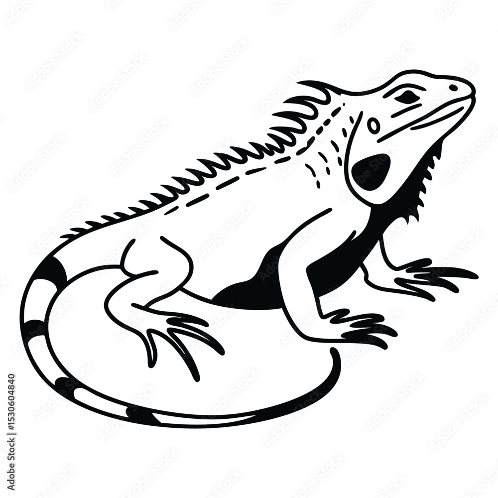 Obraz premium Striking iguana showcases detailed black lines against a clean, white background
