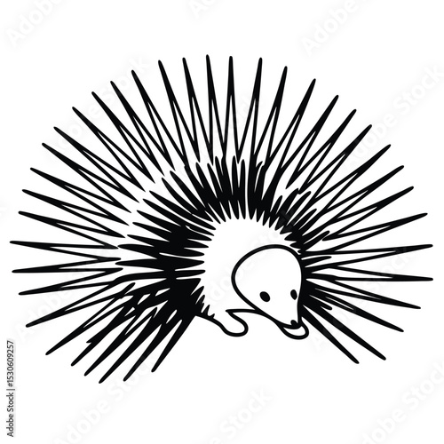 Stylized monochrome echidna shows off its quills in this style