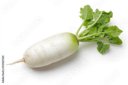Single daikon radish with green leaves