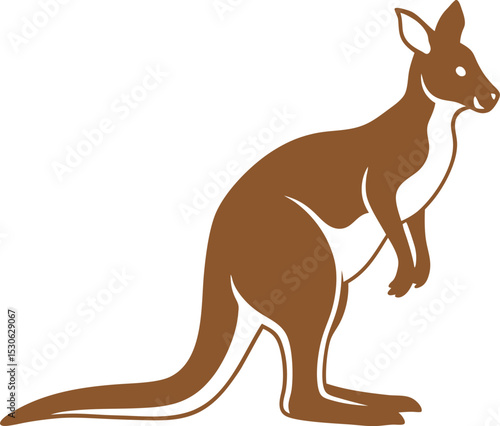 kangaroo vector