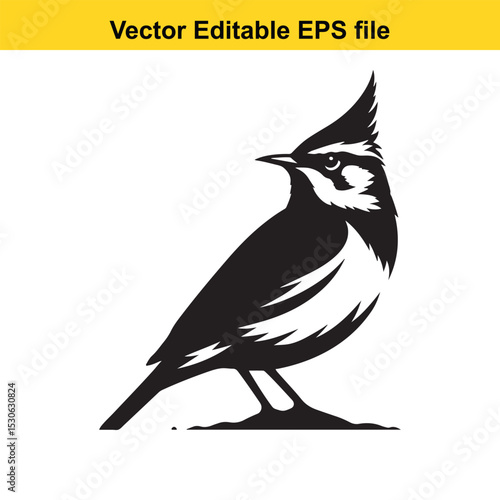 A striking black and white vector illustration of a bird, possibly a crested lark, set against a plain white background.