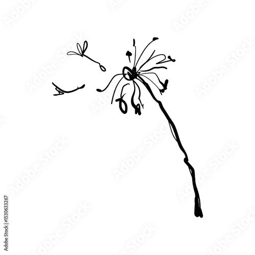 Black and white black grunge brush decorative dandelion logo or label printable sketchy art. Boho floral hand drawn vector illustrations on abstract background wall poster decor for home, interior