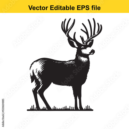 Majestic Mule Deer Buck in Black and White Vector Illustration