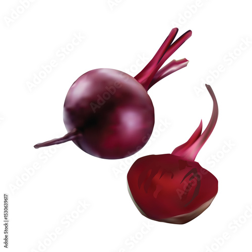 beetroot illustration on white background vol 01
