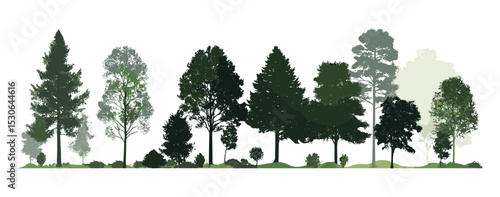 Forest silhouette trees for architecture drawing, evergreen tree line, green shadow border, side view vector illustration, pine forest edge, tree border art, seamless woods.