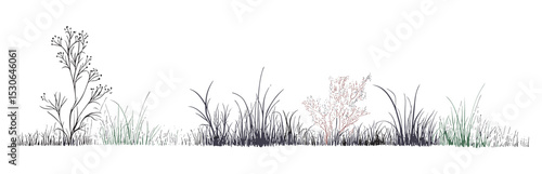 Vector Illustration of Minimal Style Line Drawings, Landscape Design Elements, Boarder Symbols for Planning, Urban Map Icons, architecture background, garden blueprint, png.