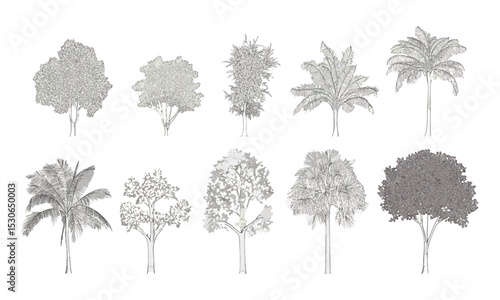 Minimal architecture line drawing, cad tree elements, tropical side view sketch, vector illustration, landscape symbol, site plan concept, greenery pattern, blueprint foliage design.