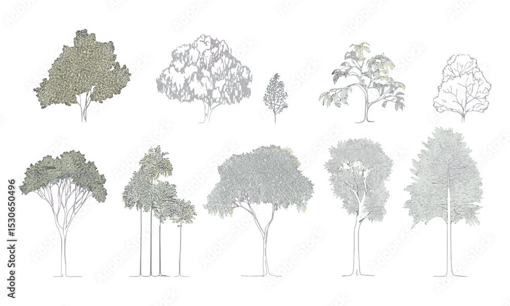 custom made wallpaper toronto digitalSide view cad tree elements, minimal style tropical tree line, architectural design symbol, landscape foliage set, outline vector illustration, elevation sketch, cad planning trees.