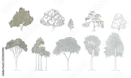 Side view cad tree elements, minimal style tropical tree line, architectural design symbol, landscape foliage set, outline vector illustration, elevation sketch, cad planning trees.