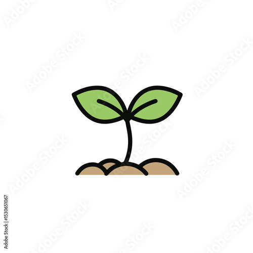 A small green sprout with leaves growing in the earth. 