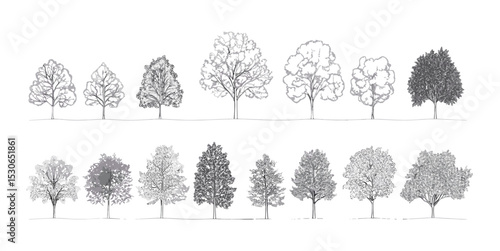 Minimal style tree line drawing, architecture and landscape design element, cad outline trees set, vector illustration, white stroke fill, pattern background, foliage, botanical.