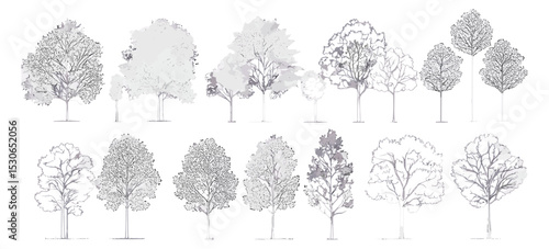 Set of trees elements in cad drawing, minimal line art, landscape symbol, vector illustration, background architecture, foliage outline, modern trees, linework, cutout.