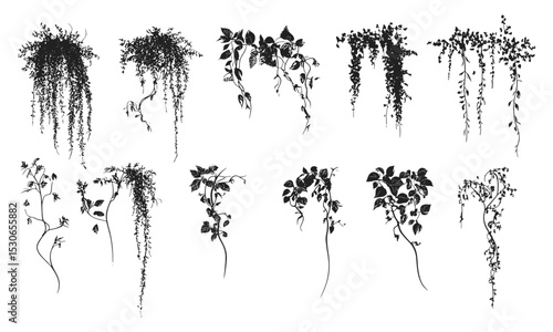 Silhouette vines set, tropical trees outline, side view landscape drawing, garden elements for architecture, vector illustration, botanic icon, green nature, transparent background.