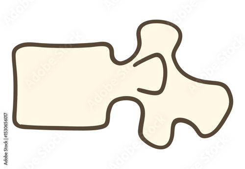 腰椎側面図、シンプルなイラスト