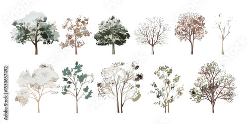 Fototapeta samoprzylepna Vector illustration of hand drawn watercolor trees set, forest elements, nature drawing for garden design, architectural foliage sketch, trees clipart, transparent background.