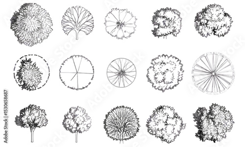 Tree top view, garden vector illustration, nature layout, isolated foliage, white background, architectural plan, landscape cad, plant top view, outdoor design, green environment, cutout.