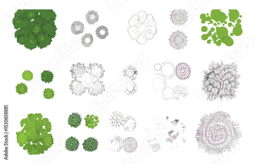 Top view tree, vector illustration, garden plan, architectural landscape, foliage design, cad layout, greenery, nature, plant symbol, isolated tree, landscape planner, white background.
