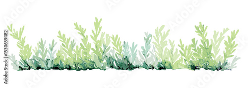Watercolor botanical grass and bush bander, vector illustration for landscape section, side view garden plan, elevation layout, environment concept, architecture, nature.