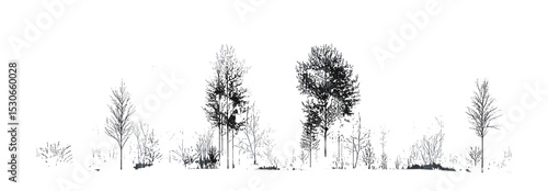 Landscape architectural plan, cad tree line side view, forest section drawing in minimal style, terrain design. Vector illustration, topography, planning, environment.