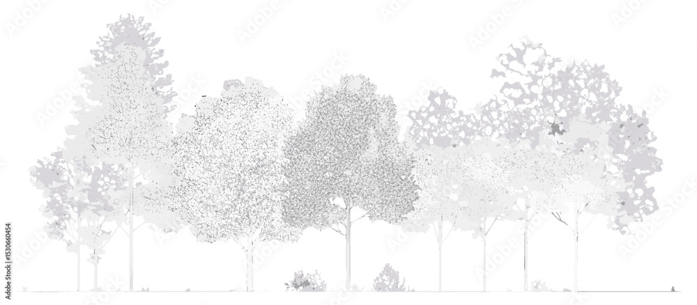 Cad tree line drawing in minimal style, landscape design plan with wetland forest section, architectural side view. Vector illustration, vegetation, mapping, construction.