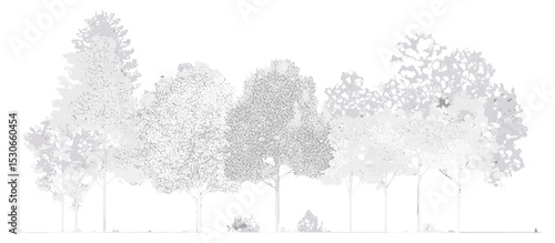 Cad tree line drawing in minimal style, landscape design plan with wetland forest section, architectural side view. Vector illustration, vegetation, mapping, construction.