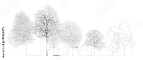 Side view tree line in minimal cad style, architectural drawing for landscape design, wetland forest section elements. Vector illustration, blueprint, ecology, architecture.