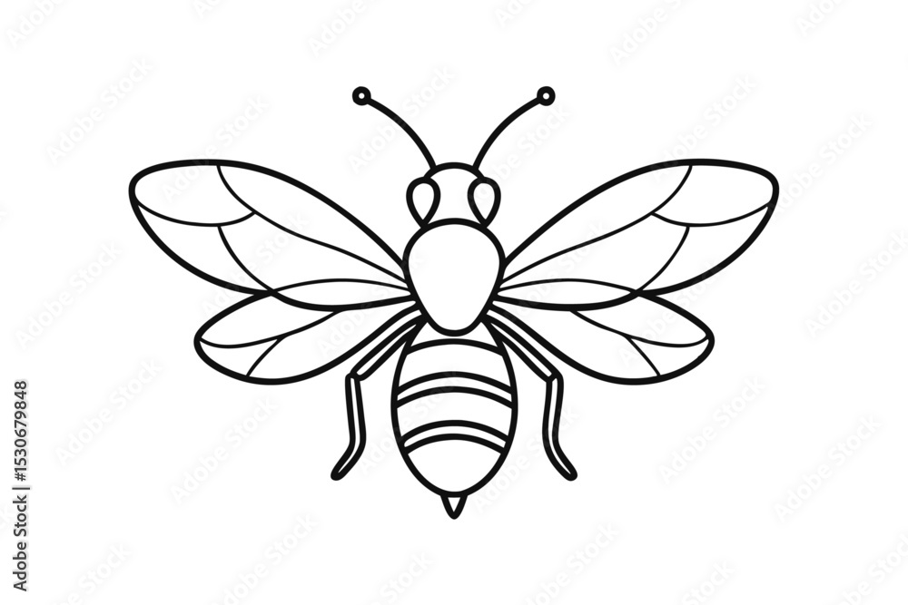 Continuous line drawing of a flying bee isolated on transparent background Continuous line drawing of a flying bee isolated on transparent background
