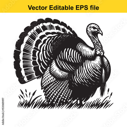 A majestic turkey in a black and white woodcut style, standing proudly in a grassy field