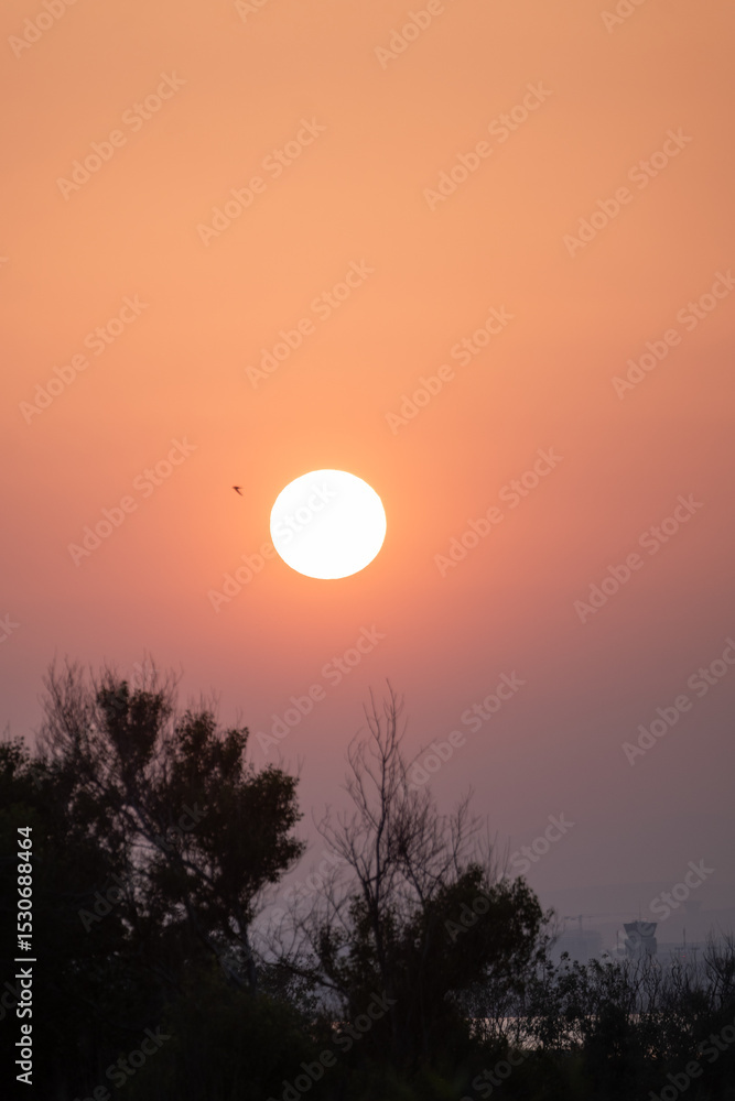 Fototapeta premium sunset in the sky