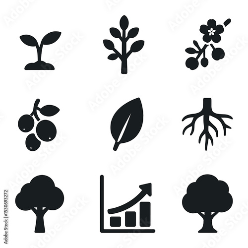 Tree Growth Icons. Solid, filled icons set of tree growth stages: seedling, young tree, blossoming branch,